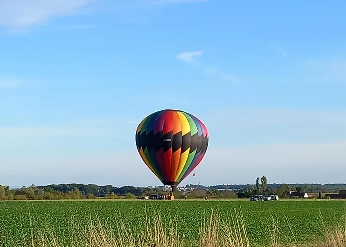 Apartment Le Petit Beaune (Cote d'Or)